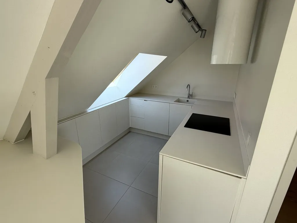 Toad - Attic Apartment with Terraced Garden in Châtel-Saint-Germain