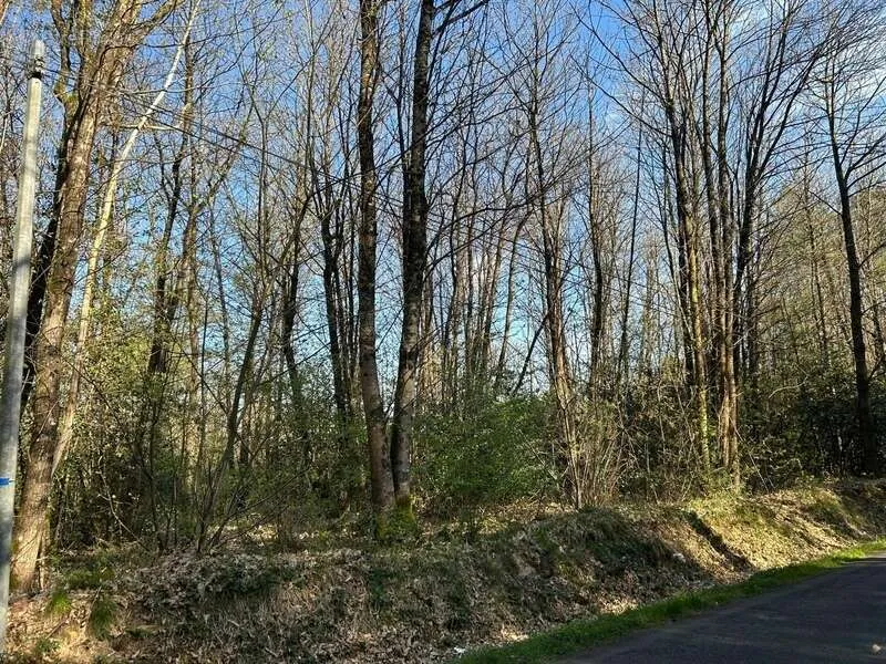 Jardin - Bois Taillis à Vendre à Le Vieil-Baugé