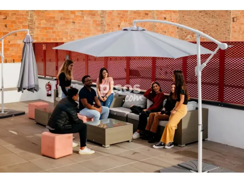 terrace_patio