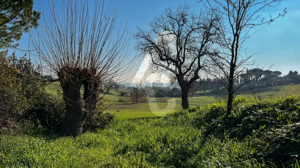 Aed - Rustic House with Private Garden in Jesi