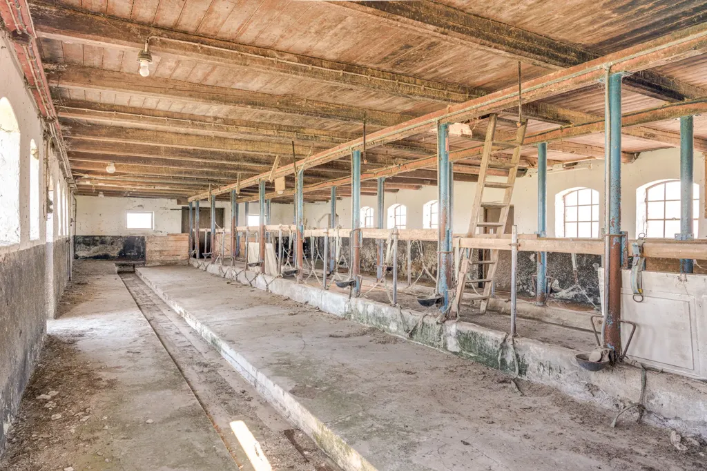 Toad - Stable with Potential for Conversion in Österlen