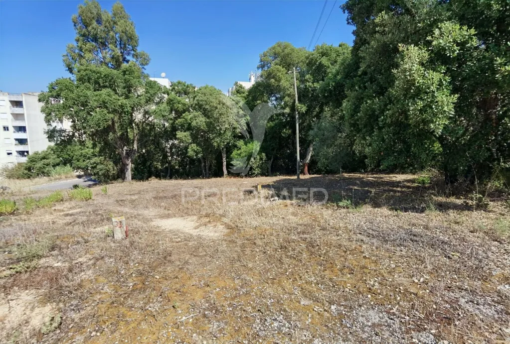 Aed - Approved Luxury Home Project in Santarém