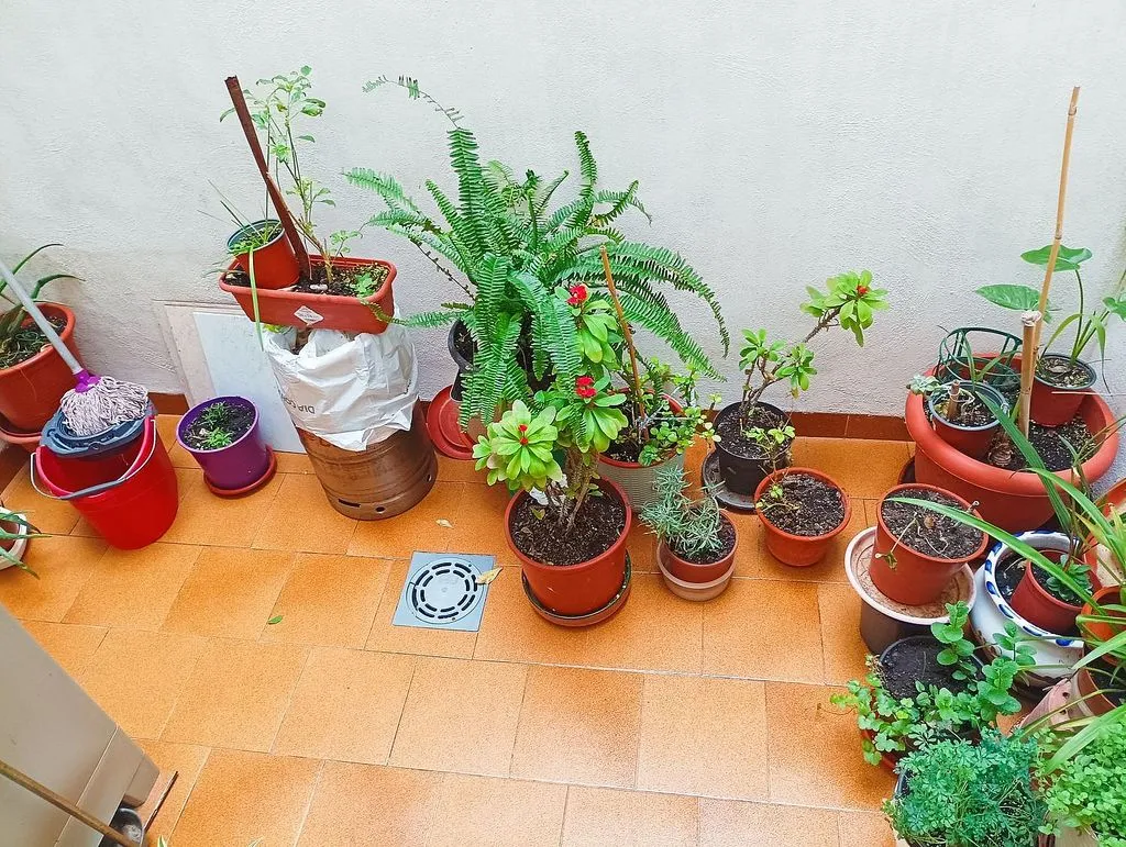 Terrass - Apartment with Terrace and Garage in Catral
