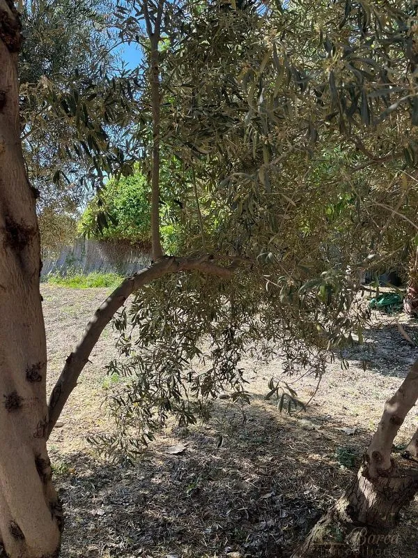 Aed - Plot for Development in Rute