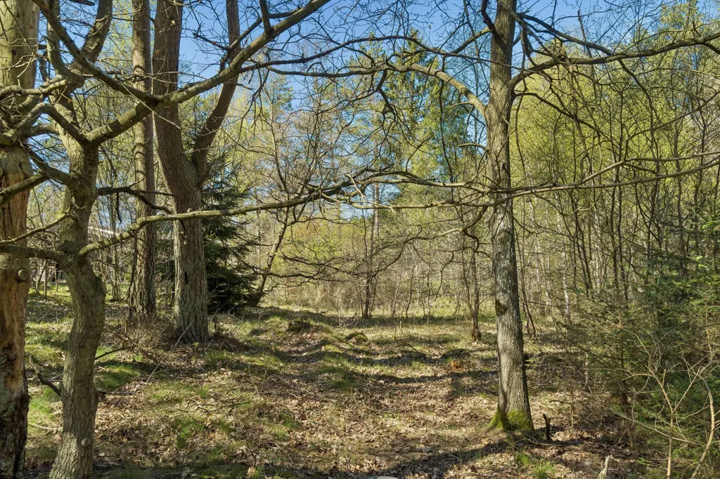 Aed - Vacation Plot with 5G Coverage in Ebeltoft