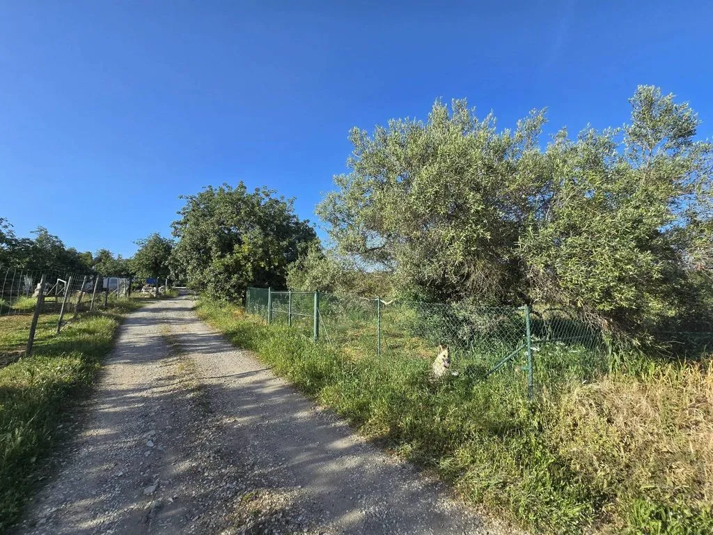 Jardin - Farmhouse with Fruit Trees near Tavira