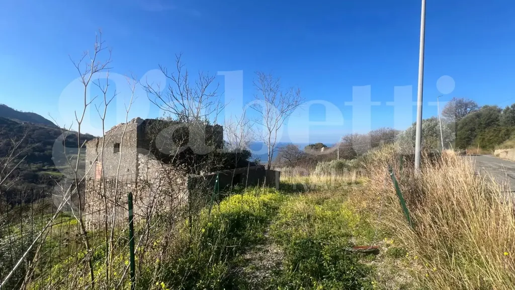 Giardino - Rustic Cielo-Terra in Falconara Albanese