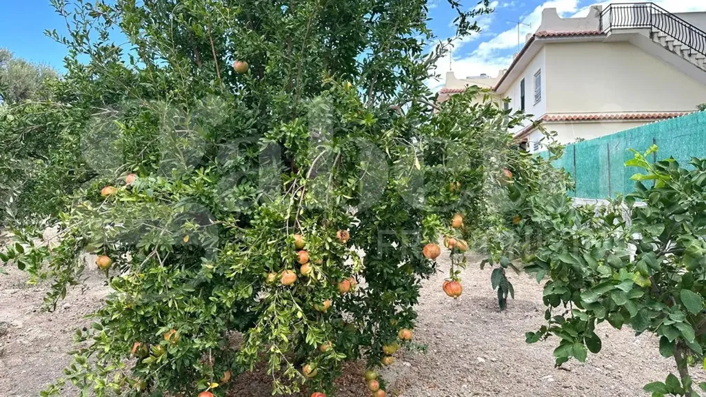 Jardin - Villa with Sea View in Avola
