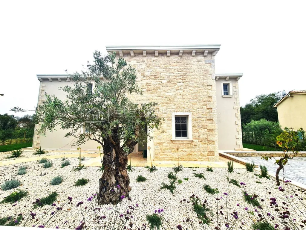 Extérieur - Istrian Villa with Pool in Rojnići, Žminj