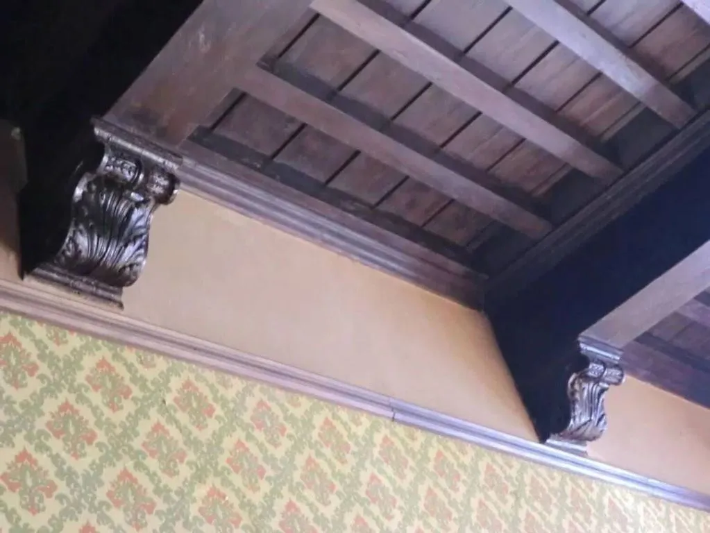 Toad - Luxury Flat with Historic Views in Lucca