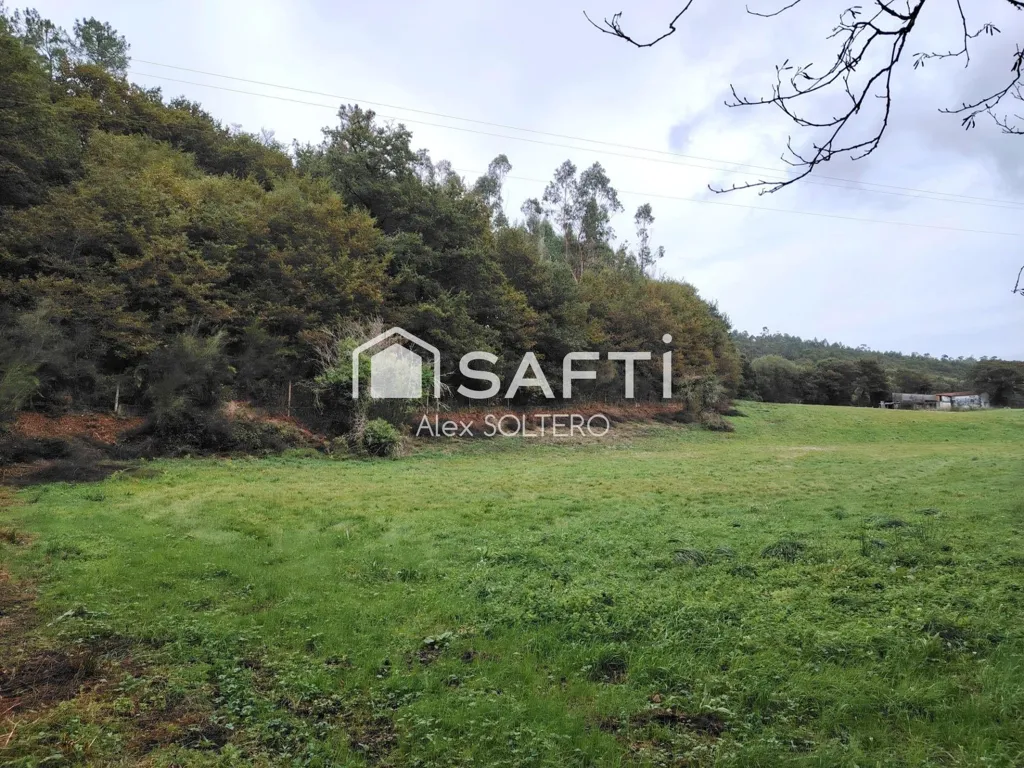 Jardin - Stone House with Large Plot in Negreira