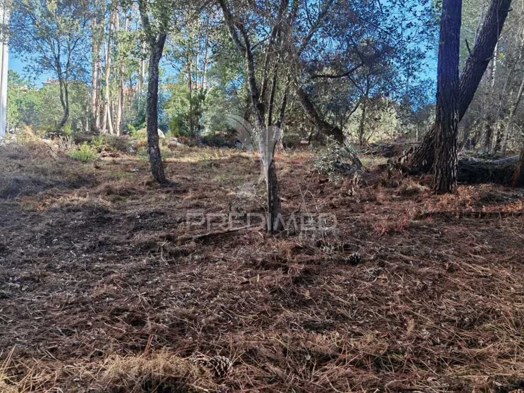 Aed - Urban Plot with Field View in Minde / Alcanena