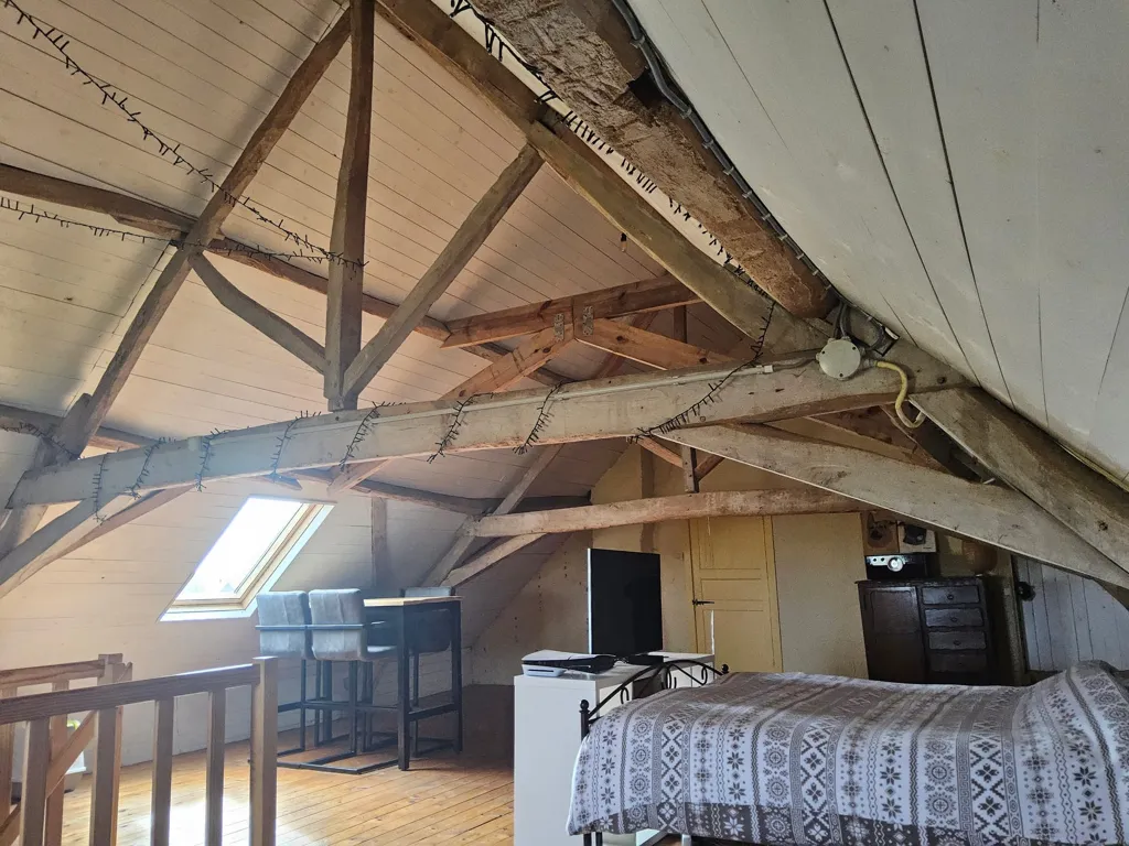 Toad - Historic House with Garden in Beveren