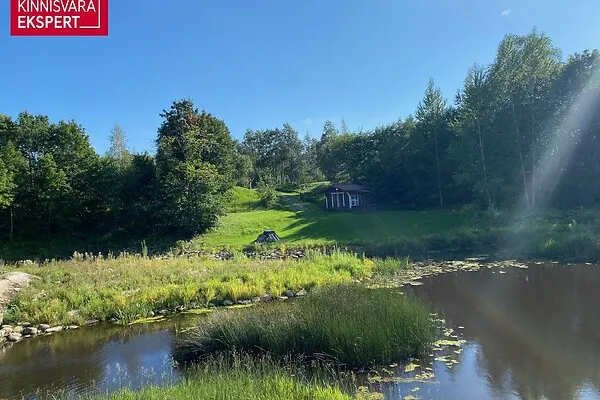 Jardin - Terrain à Tori vald