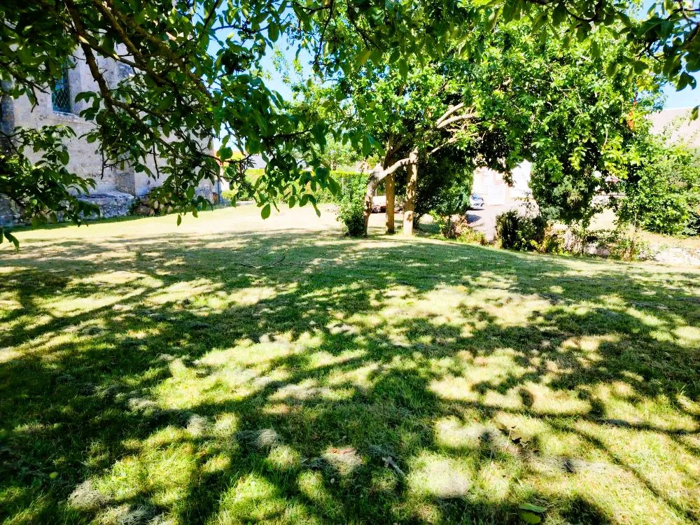 garden