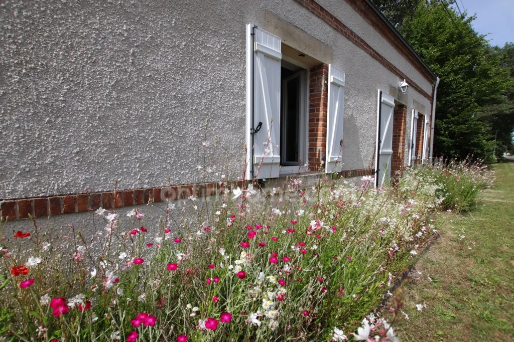 Extérieur - Maison de Charme au Calme à Nancay
