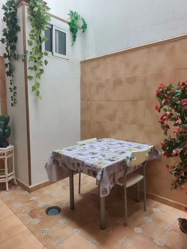 Jardin - Furnished Flat with Terrace in Tomás Morales