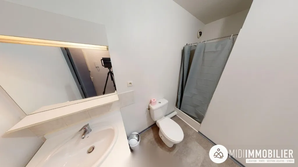 Vannitoad - Studio with Parking near University in Albi