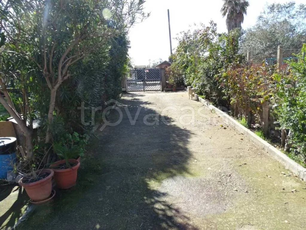 Extérieur - Villa with Private Garden at Cisterna di Latina