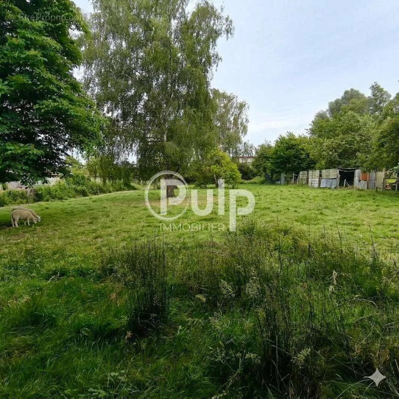 Jardin - Maison avec Dépendances et Jardin à Lallaing