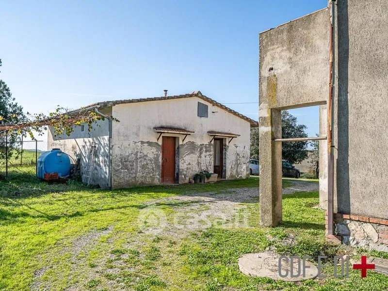 Garden - Rustic Casale with Panoramic Views in Scansano