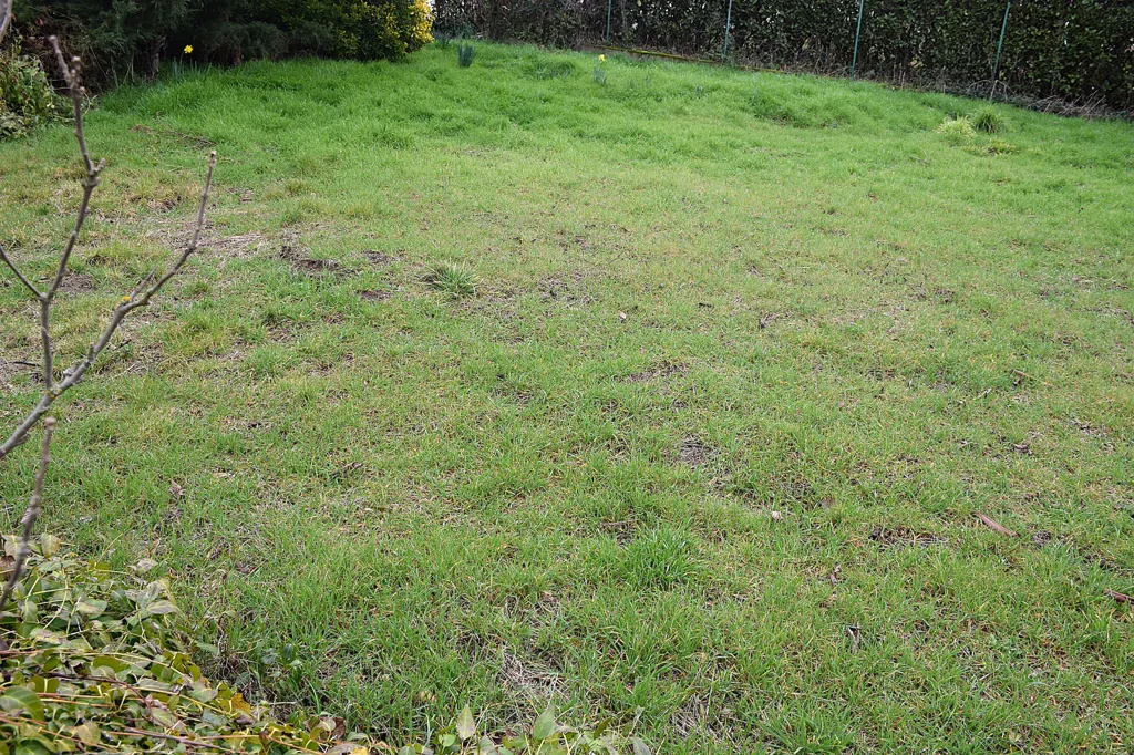 Jardin - Terrain Constructible avec Piscine à Chambœuf