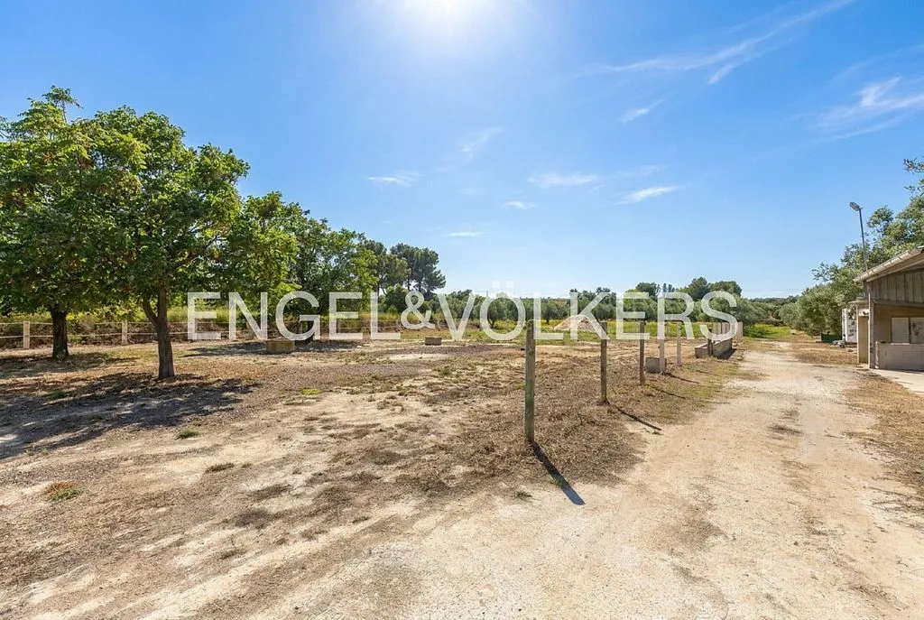 Aed - Equestrian Estate with Pool in Enguera