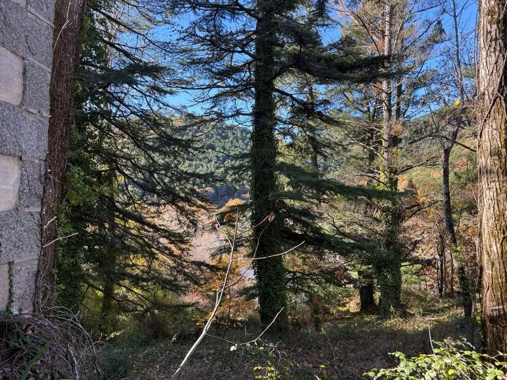 Aed - Luxury Hotel with 14 Rooms in Cercedilla