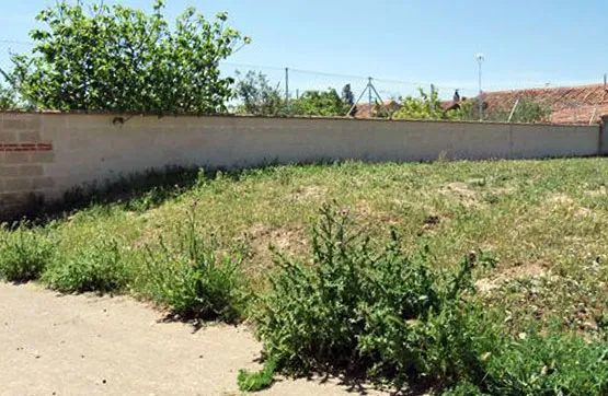 Jardin - Land Parcel in Pinilla de Toro, Zamora