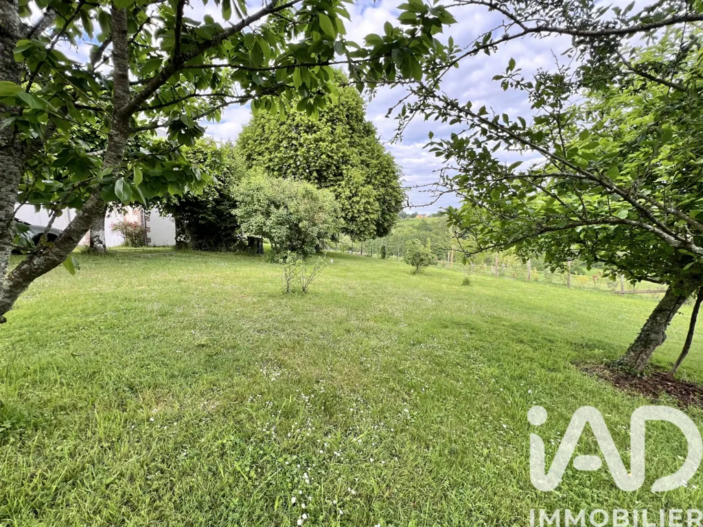 Jardin - Maison en Pierre avec Jardin à Thoiré-sur-Dinan