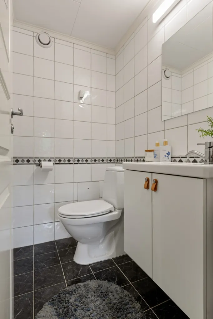 Vannitoad - 4-Bedroom Apartment with West-Facing Balcony in Trondheim