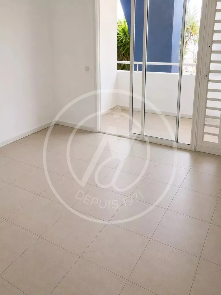 Séjour - Studio Lumineux avec Terrasse aux Abymes