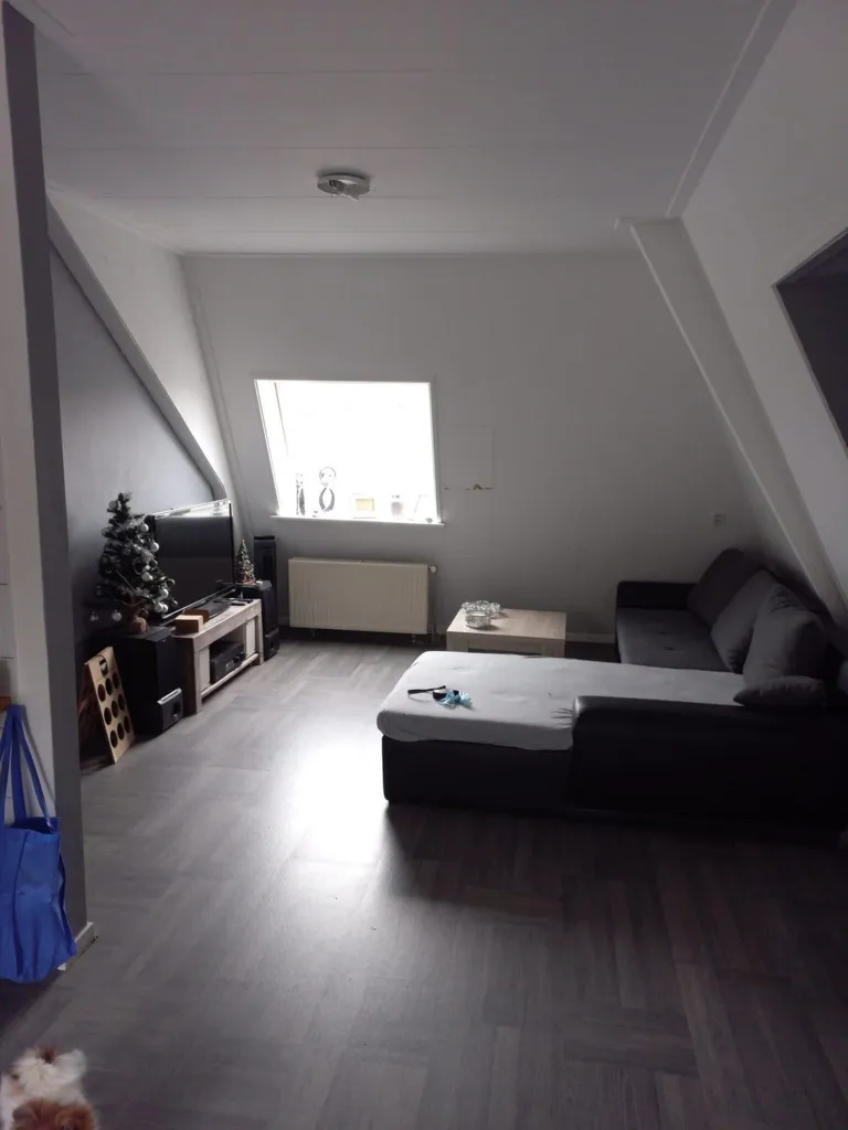 Séjour - Studio with Recent Renovations in Winterswijk