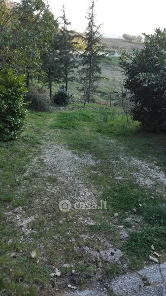 Jardin - Isolated Villa with Orchard in San Bartolomeo