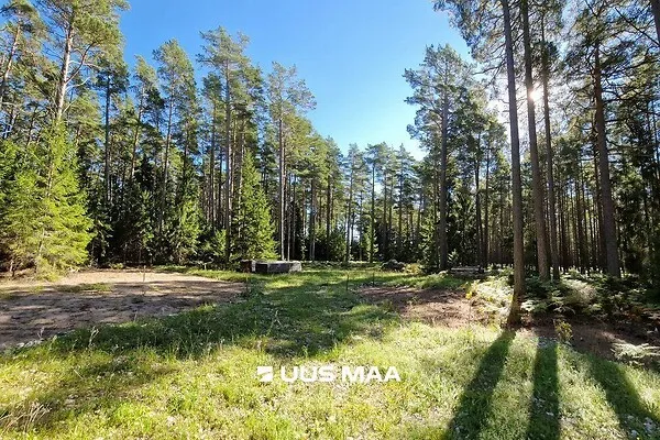 Jardin - Plot with Surf Paradise in Hiiumaa