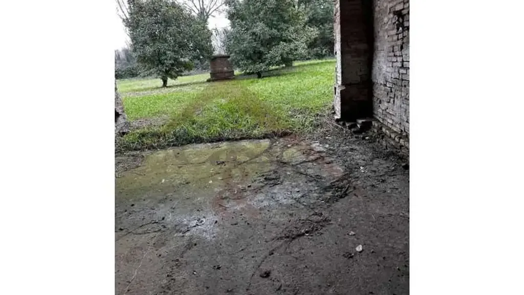 Garden - Rustic Property with Large Garden in Modena