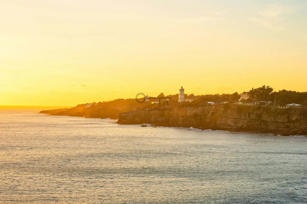 1-Bed Flat with Terrace in Levitate Cascais