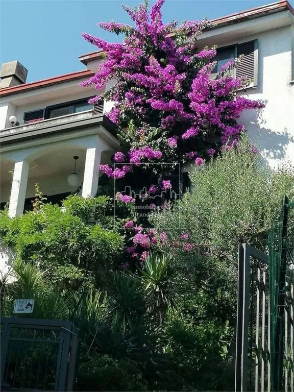 Esterno - Villa with Lake View in Gavirate