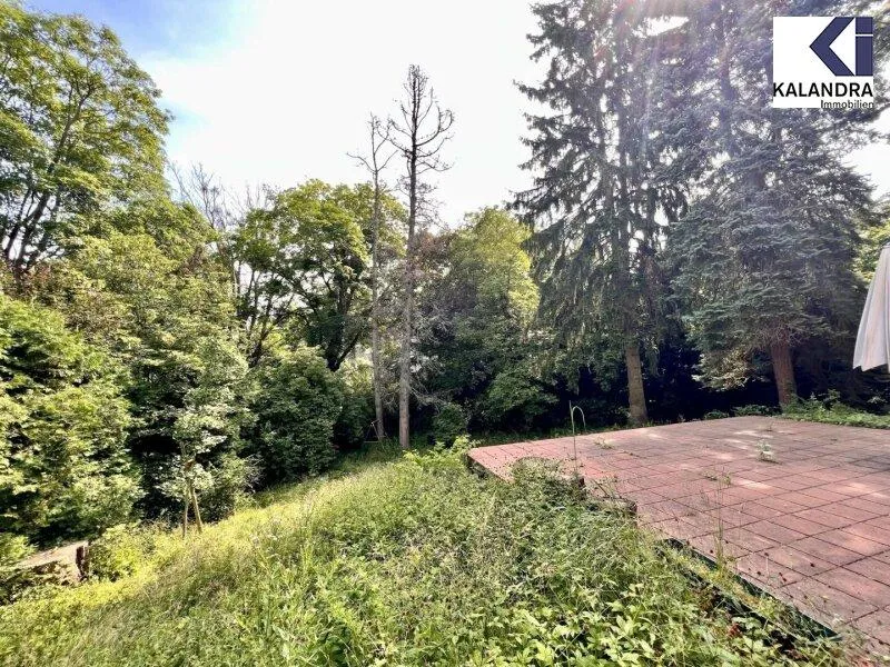 Garden - Classical Altbau Villa with Terrace in Gersthof