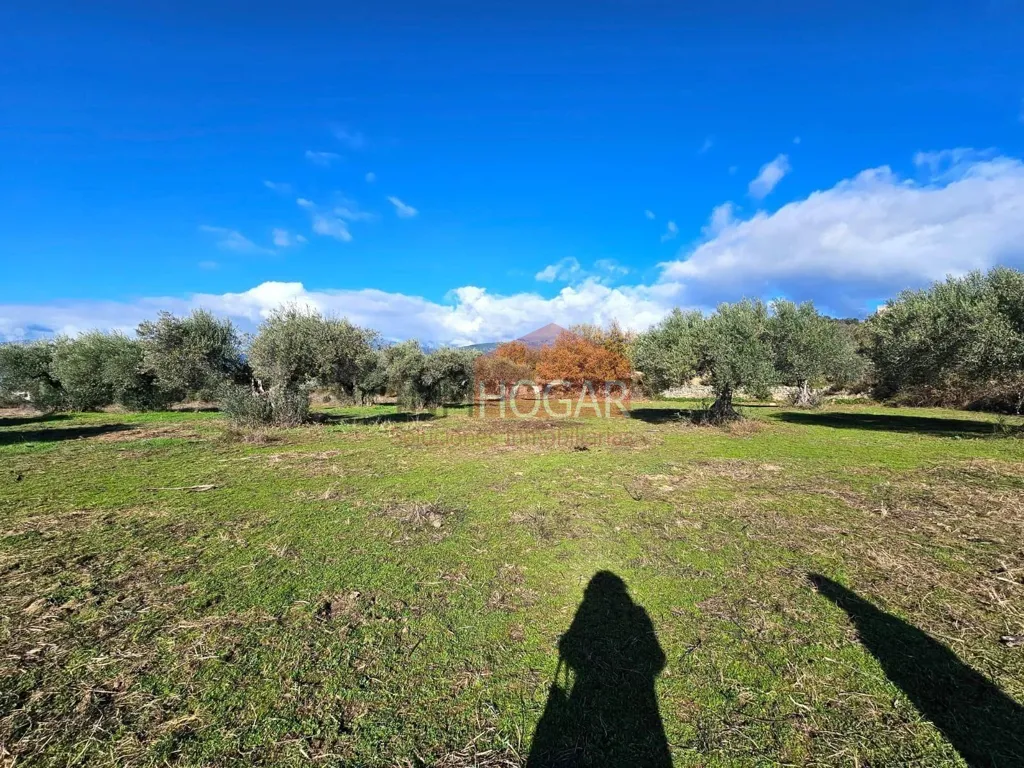 Aed - Exclusive Plot with Sierra de Gredos Views in La Adrada