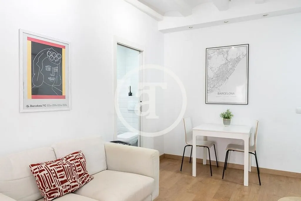 Séjour - Furnished Flat with Catalan Vault in Barcelona