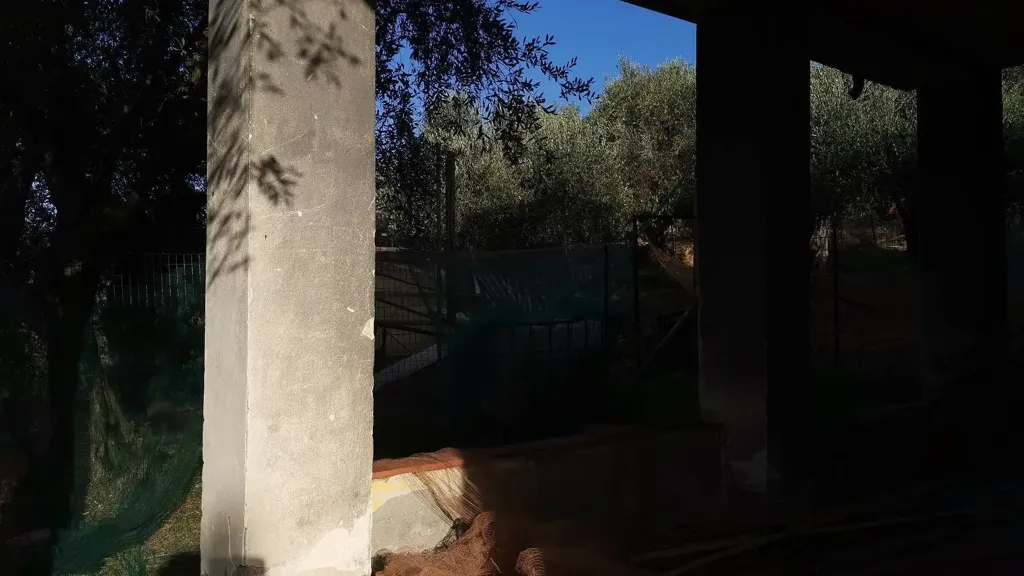 Terrasse - Rustic House with Olive Grove in Vicopisano