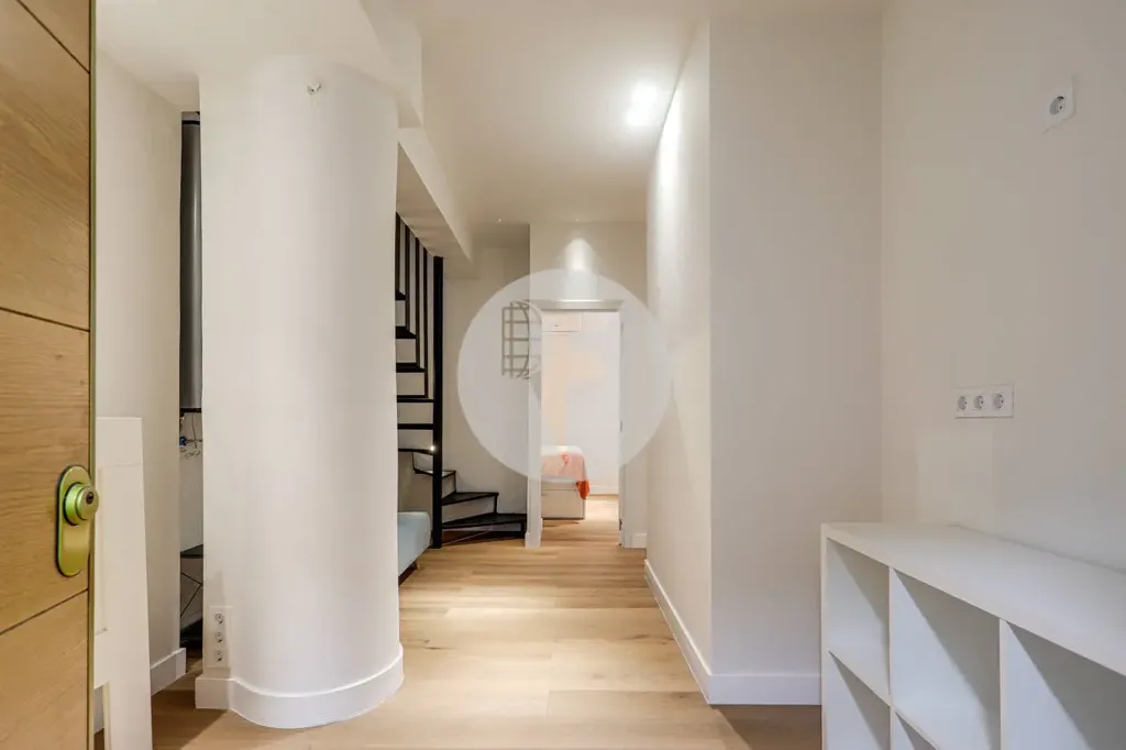 Esik - Renovated Duplex with Two Entrances in Guindalera