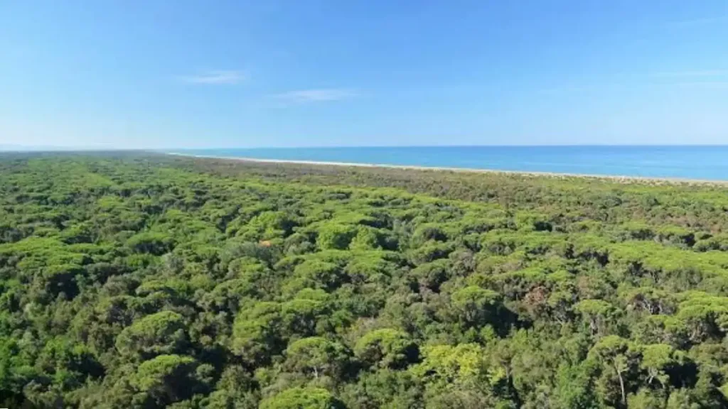 Luxury Villa to be Restructured in Viareggio