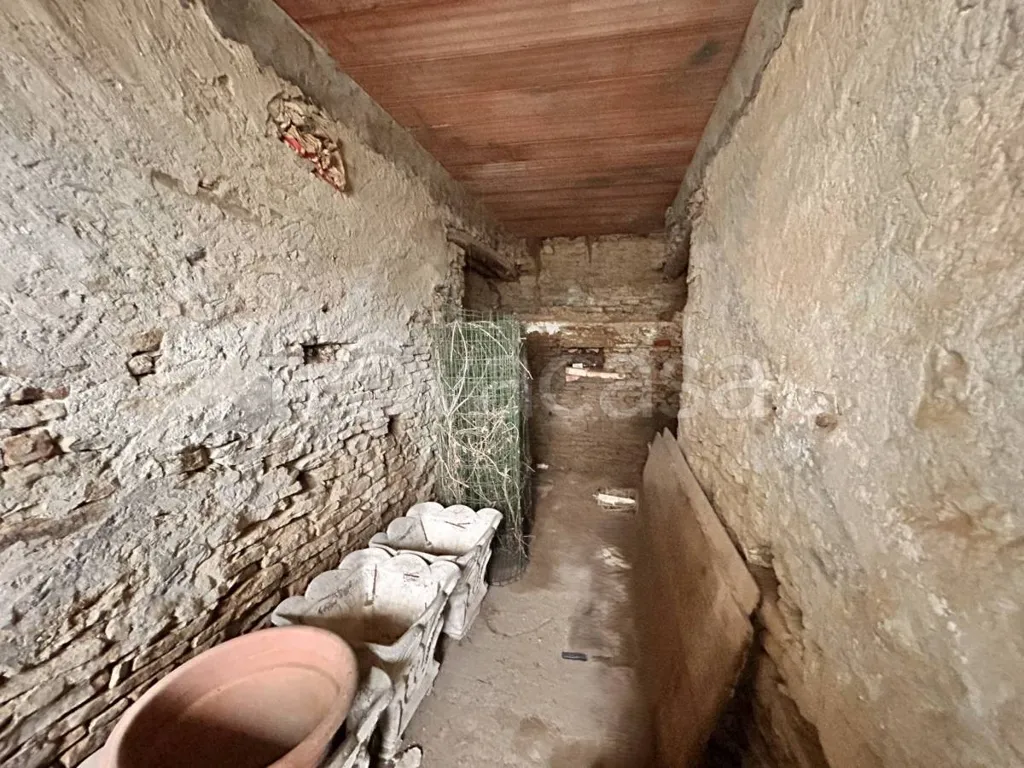 cellar