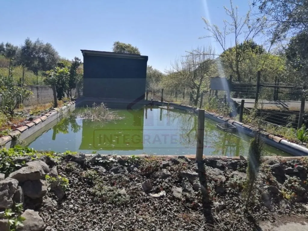Aed - Luxury Farmhouse with Pool near Santarém