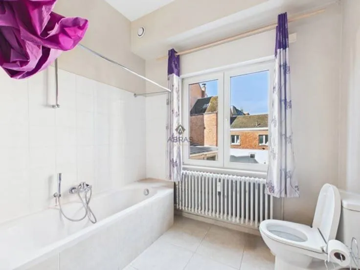 Bathrooms - Flat with Meuse View in Rez-de-Chaussée