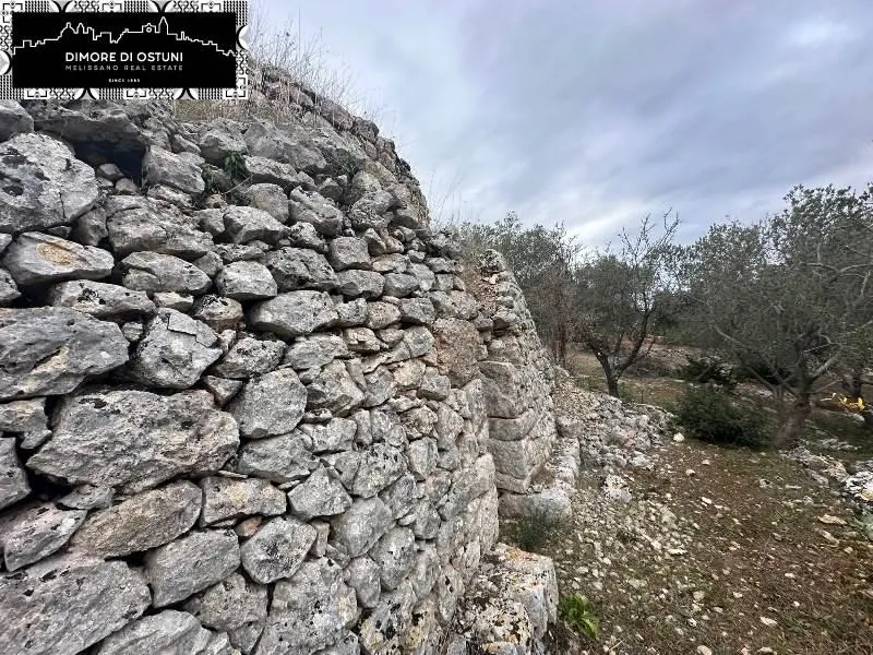 Garden - Saracen Trullo with Olive Grove in Ostuni