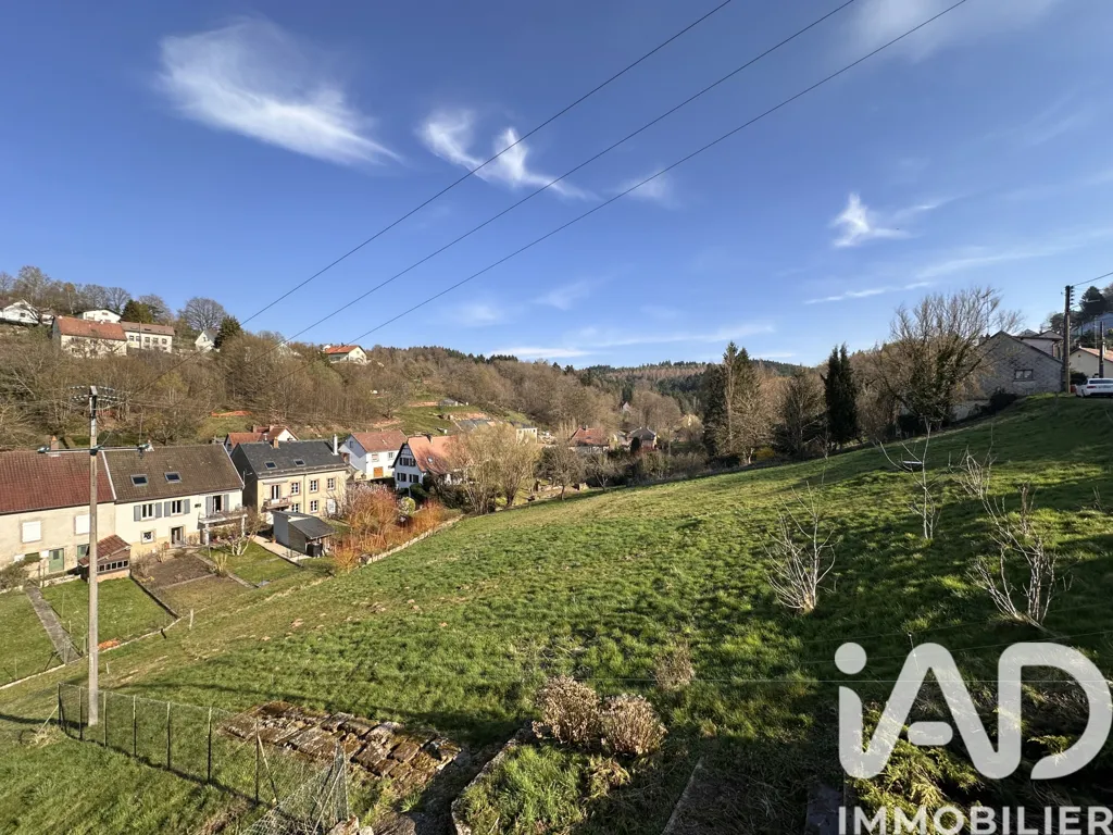 Aed - Character House with Garden in Troisfontaines
