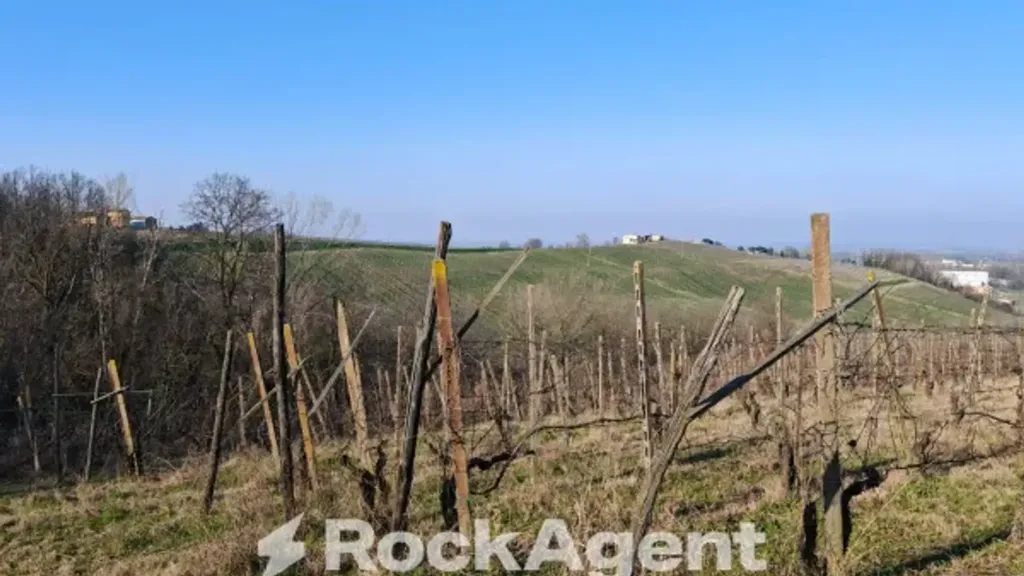 Aed - Cascina with Vineyard in San Damiano al Colle